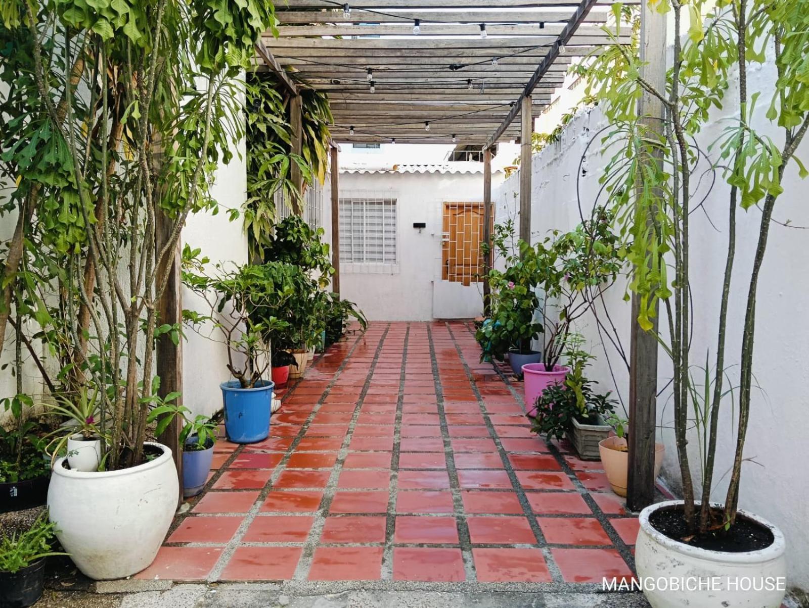 Mango Biche - House Bed & Breakfast Cartagena Eksteriør bilde