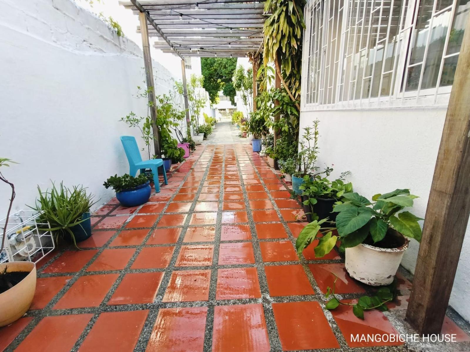 Mango Biche - House Bed & Breakfast Cartagena Eksteriør bilde